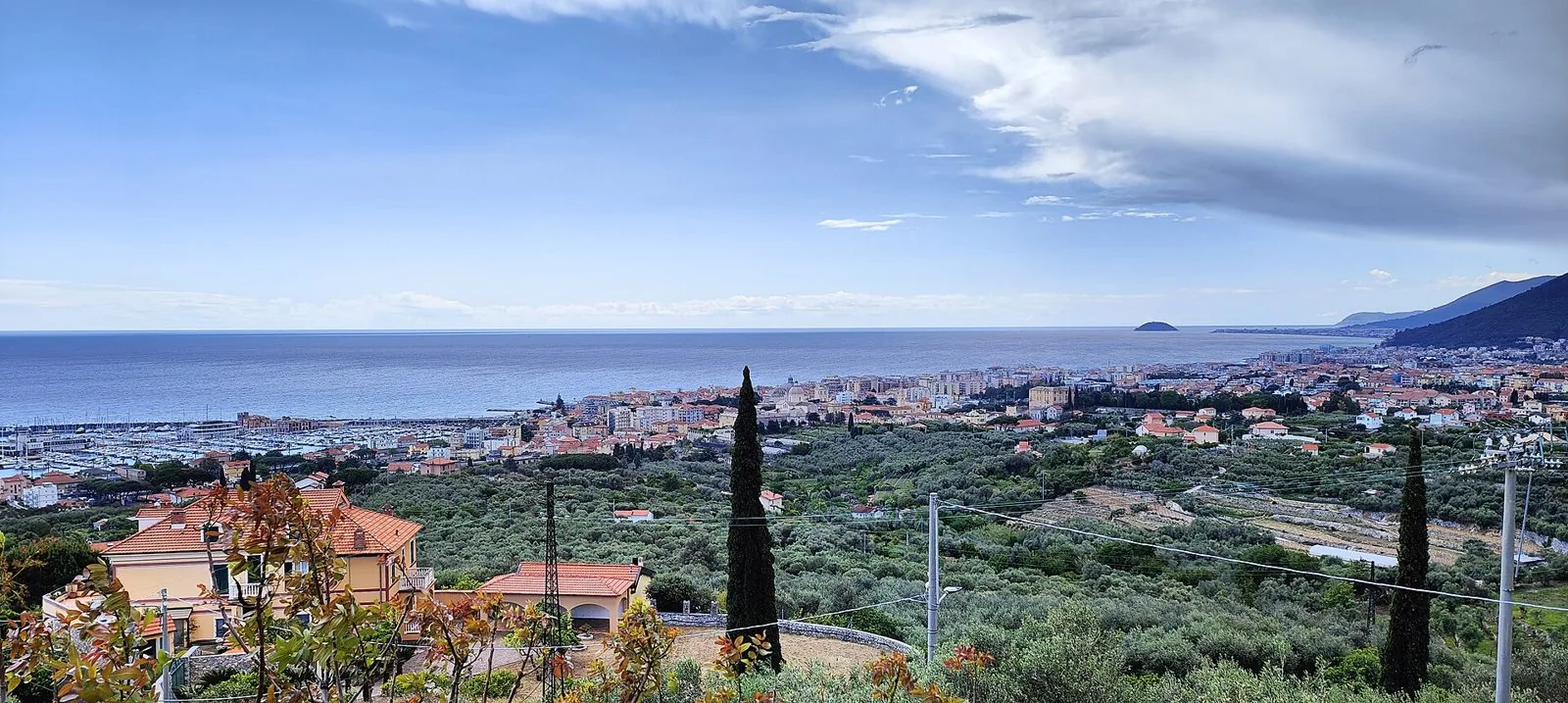 Panorama di Loano dalla collina con gli ulivi, il porto turistico e il mare fino all'isola Gallinara